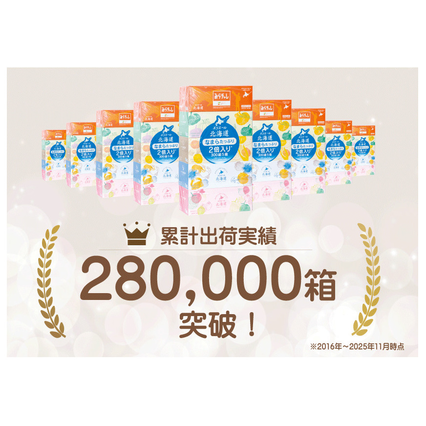 エリエール ハーフサイズ 収納に便利 コンパクト 少量5パック [アソートX] 北海道ティシュー 300組 5箱×5パック 計25箱 なまらたっぷり 大容量  防災 常備品 備蓄品 消耗品 日用品 生