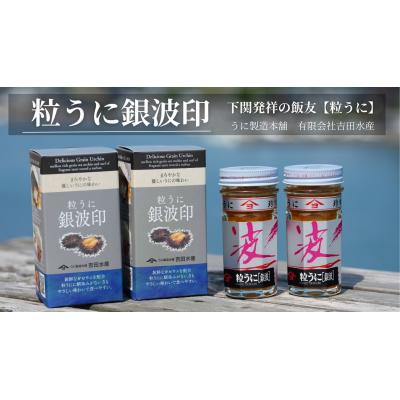 ふるさと納税 下関市 【5営業日以内発送】 うに 粒うに 銀波印 55g 2本 ED09