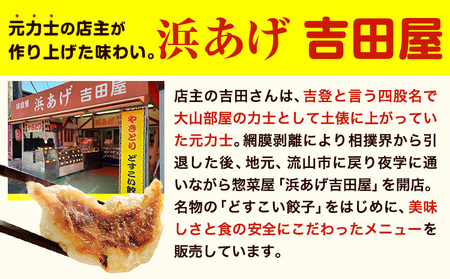 餃子 どすこい餃子 冷凍 30個 浜あげ吉田屋 《30日以内に出荷予定(土日祝除く)》千葉県 流山市 ぎょうざ ギョウザ 冷凍ぎょうざ 通常の約2倍 サイズ ジャンボ餃子 特大 元力士 が作った 惣菜