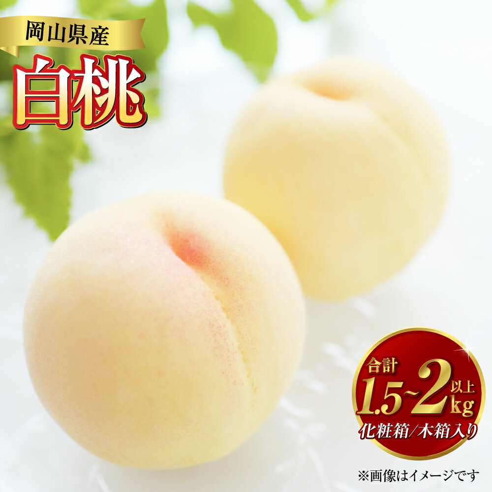 【ふるさと納税】【2025年7月上旬～8月上旬 発送予定】《先行予約》白桃 6玉（1.5kg以上）6玉 （1.5kg以上）/8玉（2kg以上）/ 5玉（1.5kg以上） 等級：ロイヤル 化粧箱入り もも モモ 岡山県産 国産 フルーツ 果物 セット 　倉敷市　お届け：2025年7月上旬～2025年8月上旬