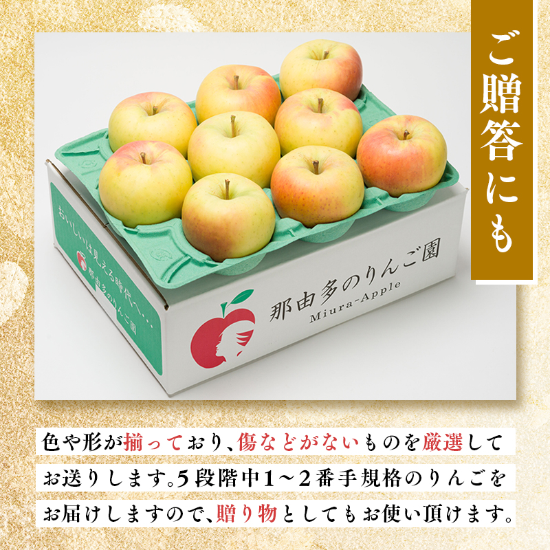 【1~2月発送】 贈答用ぐんま名月約3kg（糖度証明書付き） 【青森県 平川市 那由多のりんご園】