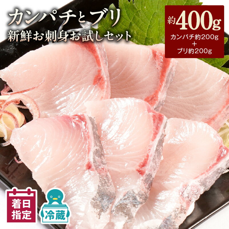【ふるさと納税】【最短10日後以降発送可】 ＜レビューキャンペーン＞ カンパチ ブリ 新鮮 刺身 400g セット 詰め合わせ 少量 お試し パック お刺身 刺身セット 請関水産 冷蔵 魚介 食品 水産物 魚 魚加工品 お取り寄せ お取り寄せグルメ 送料無料 宮崎県 延岡市