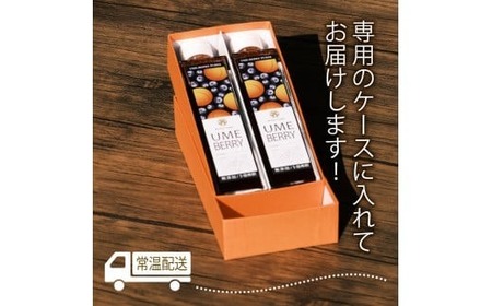 梅ベリーピューレ UMEBERRY 2本セット 315ml×2本  無添加 5倍希釈 フルーツ 果物 梅 うめ 完熟梅 ブルーベリー ジュース シロップ 贈り物 割材 炭酸割 お酒割 焼酎 ヨーグルト