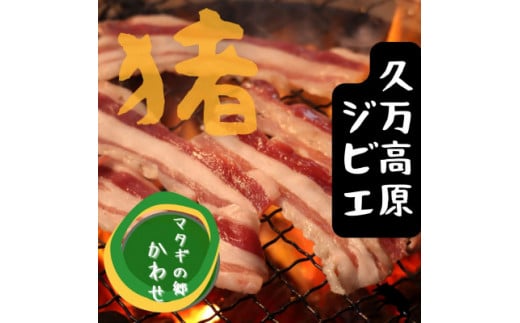 話題のジビエ料理をご家庭でも！猟師が自ら獲って捌いたこだわりのイノシシ肉。部位別食べ比べセット｜猪肉 モモ カタ ばら ロース 800g ジビエ ※離島への配送不可