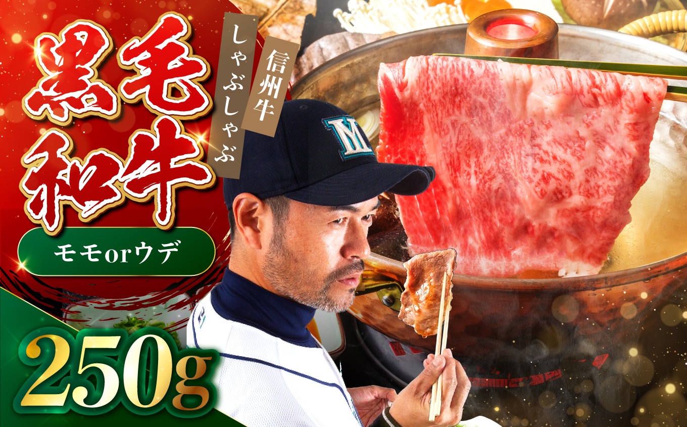
                  たかどや牧場産 黒毛和牛 信州牛 しゃぶしゃぶ ( モモ または ウデ ) 250g | 肉 牛肉 黒毛和牛 信州牛 モモ ウデ しゃぶしゃぶ 長野県 飯田市 信州
                