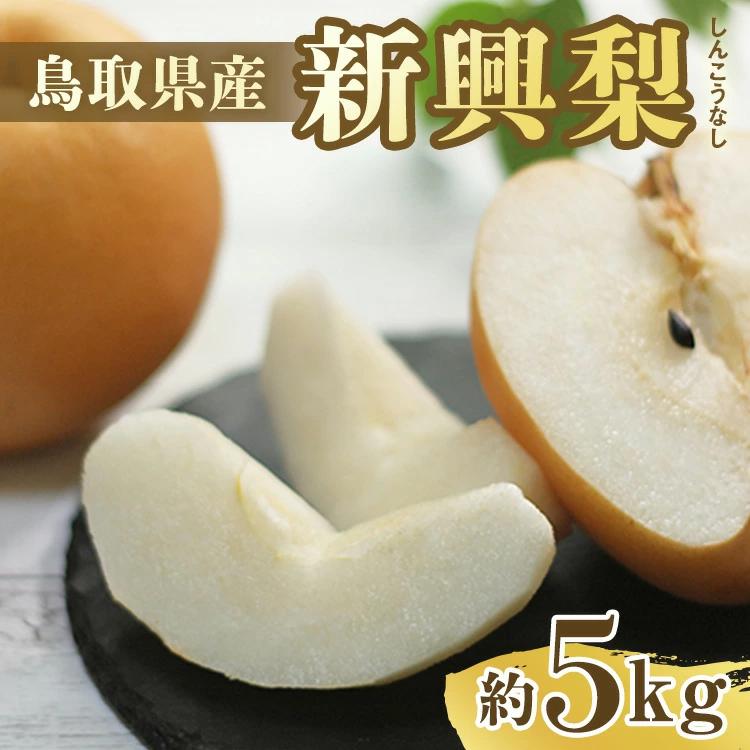 【ふるさと納税】【先行予約】新興梨 5～18玉前後 5kg前後 ※10月～11月下旬頃に順次発送予定 | 梨 なし カロリー 果物 フルーツ くだもの 栄養 効能 ビタミン 鳥取県 鳥取 北栄町 おすすめ 人気 送料無料　