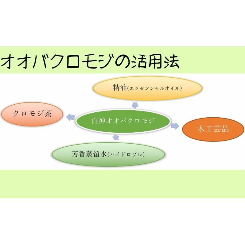 【白神アロマ研究所】大浦光信公の古道散策＆白神クロモジ蒸留体験ツアー（1泊2日・1組2名様）_イメージ3