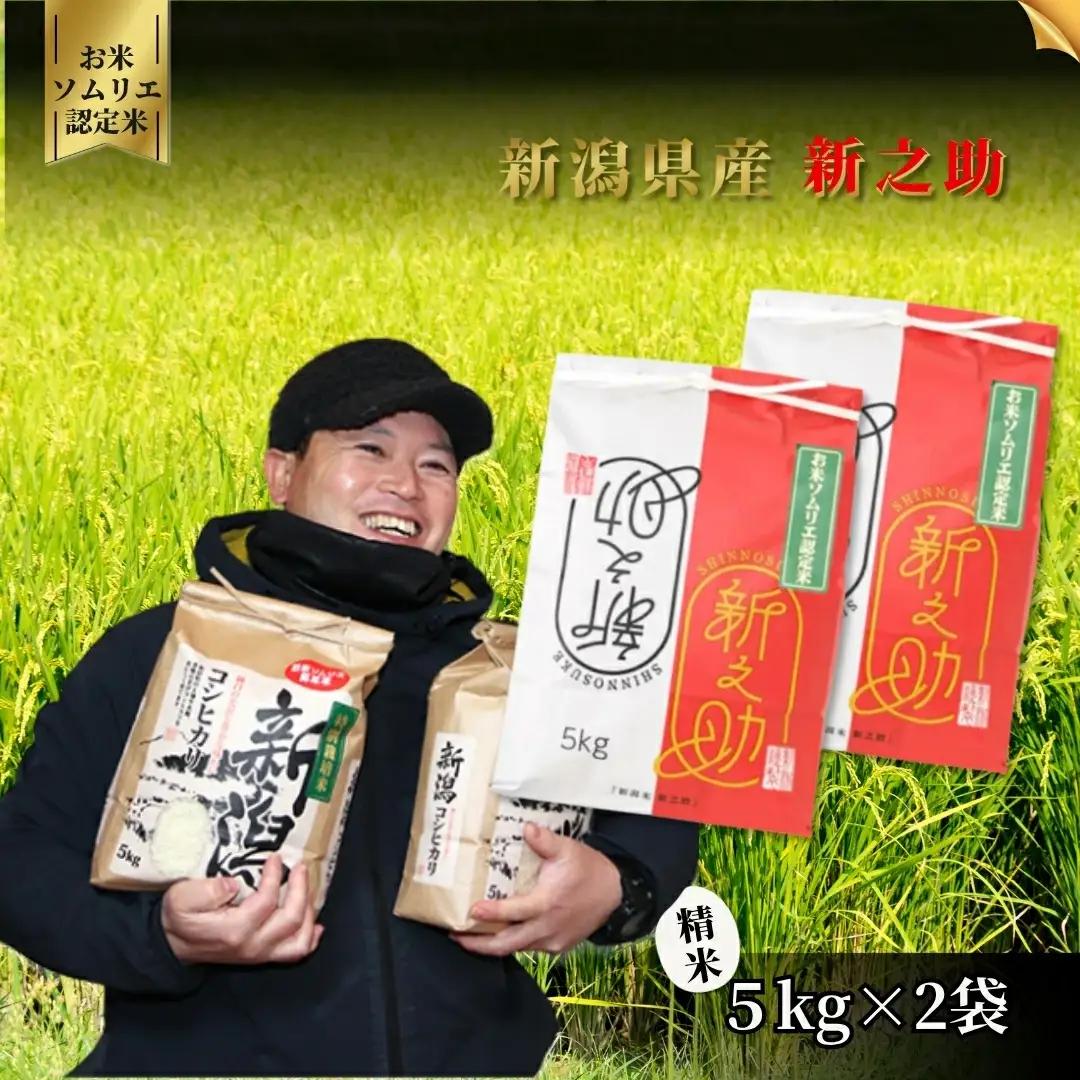 【先行予約】令和8年産 新米 新潟県産 新之助 精米 10kg(5kg×2袋)【10月中旬発送開始】 | 白米 米 五泉市 新之助