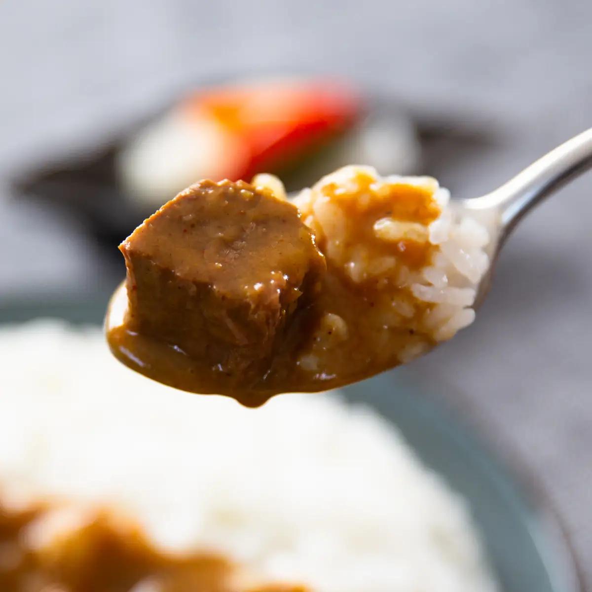飯舘産黒毛和牛カレー　10食セット ITTAH002
