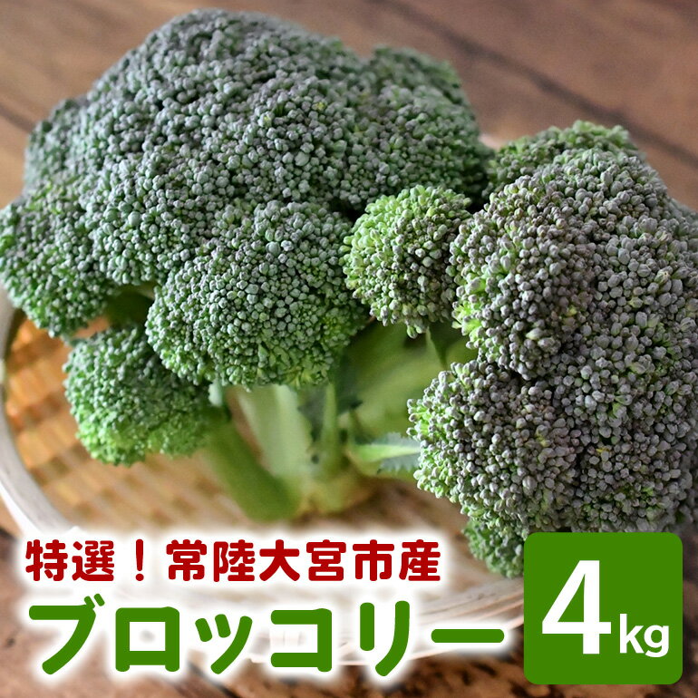 【ふるさと納税】 特選ブロッコリー 4kg 小野瀬農園 【小野瀬農園】 【ho1418】