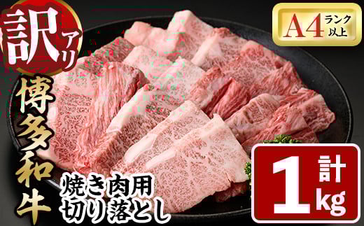 ＜訳あり・不揃い＞博多和牛焼肉切り落とし(肩ロース・バラ)(計1kg) 牛肉 黒毛和牛 国産 BBQ 化粧箱 贈答 ギフト プレゼント ＜離島配送不可＞【ksg1406】【MEATPLUS】