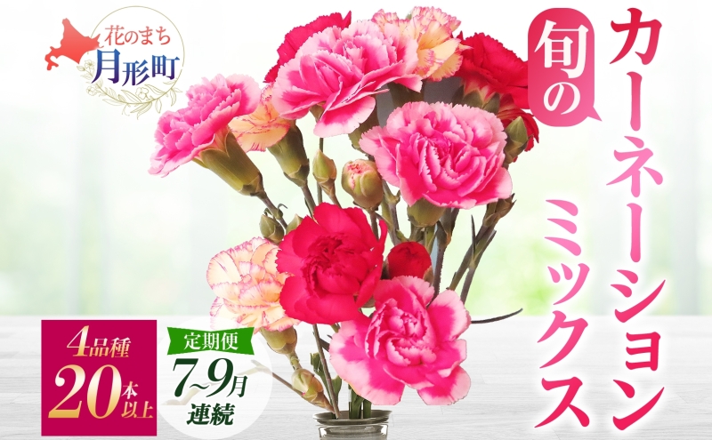 ＜2025年7月～9月まで3ヵ月連続お届け＞北海道 カーネーション ミックス 4品種 20本以上 花 花束 切花 ブーケ 旬 季節 生花 フラワー アレンジメント 