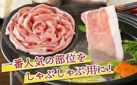 【お歳暮】観音池ポーク ロースしゃぶしゃぶ〈全部真空パック〉1.6kg≪11月17日～12月21日お届け≫_13-1506-WG_(都城市) 都城産 ブランドポーク 観音池ポーク ネッカリッチ 真空 