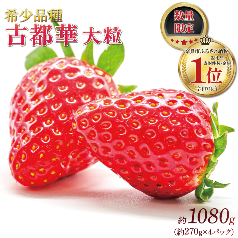 いちご ことか 約270g×4パック 先行予約 2027年発送 古都華 大粒 数量限定 産地直送 春 旬 国産 冷蔵 イチゴ 苺 itigo ichigo strawberry ストロベリー フルーツ 果物 くだもの 小分け ブランドいちご ふるさと納税いちご ふるさと納税イチゴ 奈良いちご 甘い 人気 おすすめ 贈答 プレゼント ギフト お歳暮 奈良県 奈良市 奈良 いちご農家だるま