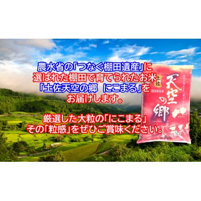 ふるさと納税 本山町 早期予約　★7年産新米★　本山町の棚田で育てられた天空の郷　にこまる5kg |  | 02
