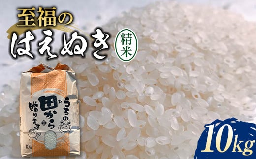 令和6年 【先行予約】 至福のはえぬき 10kg 米 お米 おこめ 山形県 新庄市 F3S-2056