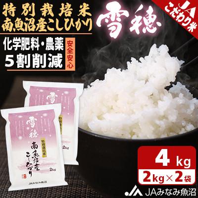 ふるさと納税 南魚沼市 【令和7年産】農薬5割削減「特別栽培米南魚沼産こしひかり雪穂」精米4kg(2kg×2袋)