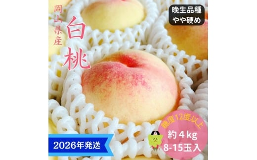 【2026年先行受付】 白桃 特秀 ロイヤル 大玉 晩生品種 約4kg(8～15玉) 岡山県産 桃 もも モモ 御中元 ギフト 御礼 プレゼント 御礼 御祝 御供 果物 くだもの フルーツ