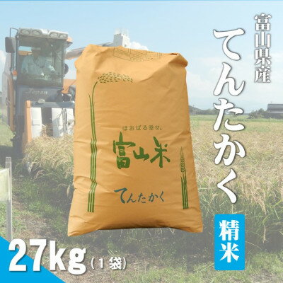 【ふるさと納税】令和7年産「てんたかく」精米27kg×1袋【1666608】