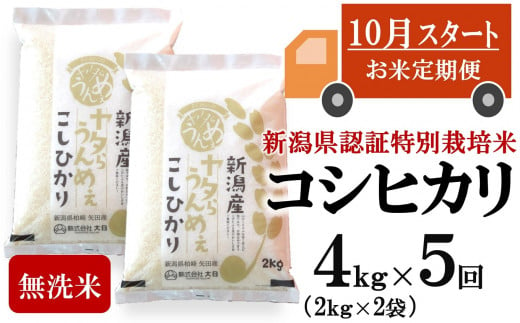 【新米定期便・10月～発送】コシヒカリ 無洗米 4kg（2kg×2袋）×5回（計 20kg）ヤタらうんめぇお米 先行予約 水田環境鑑定士在籍[ZG420]