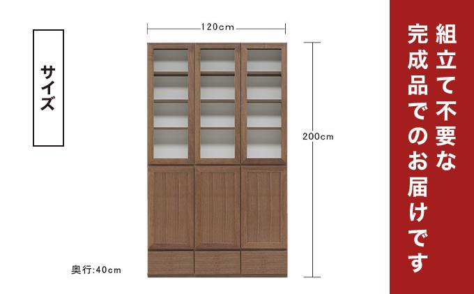 Gojeta（ゴジータ）幅120フリーボード (NA) グレーガラス仕様【北海道・東北・沖縄・離島不可】CN122-NA