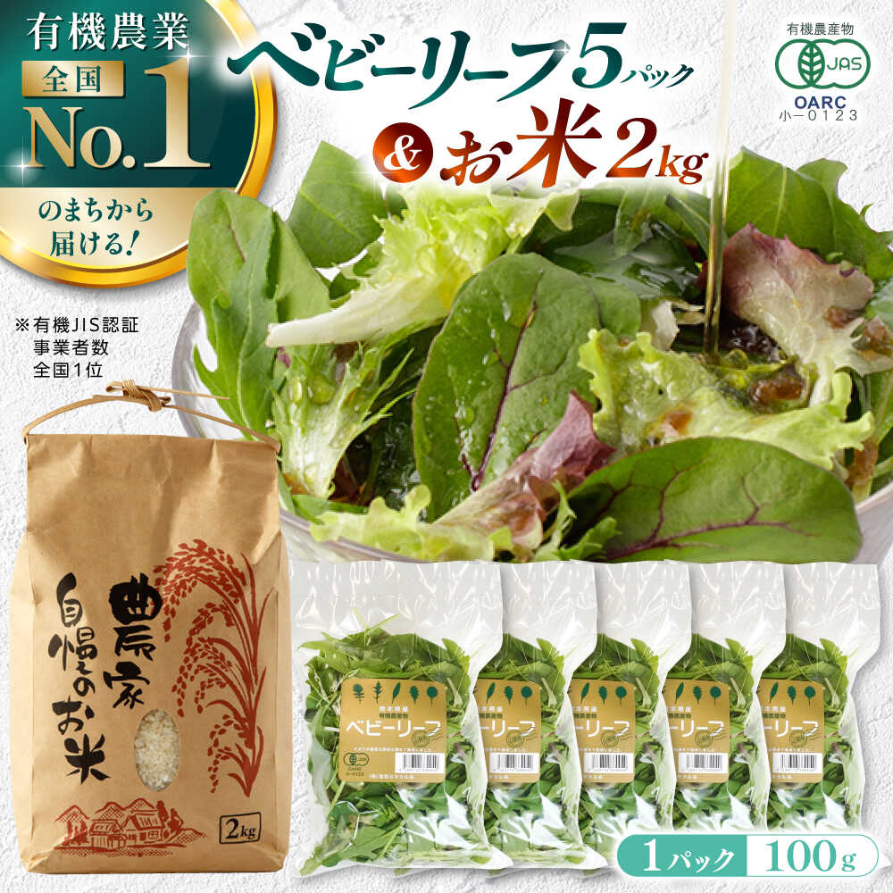 【ふるさと納税】有機野菜 ベビーリーフ (100g×5パック) お米 2kg 計2.5kgセット 山都町産 産地直送 高原野菜 有機JAS認証取得【株式会社 清和ミネラル会】[YBT001]
