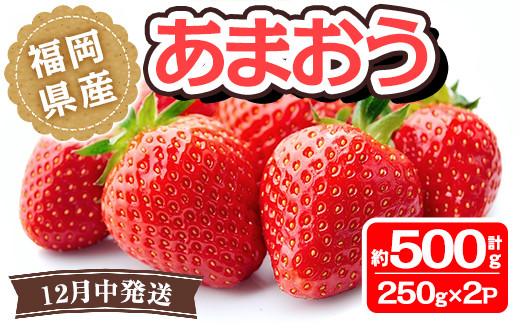 
＜先行予約受付中！2024年12月中に発送予定＞福岡県産 あまおう(計約500g・250g×2P)いちご 苺 フルーツ 果物 くだもの 冷蔵 ＜離島配送不可＞【ksg1502】【くまふる春日】
