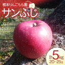 【ふるさと納税】【先行予約】サンふじ 5kg （20～25玉） りんご リンゴ フルーツ 果物 福島県 鏡石町 F6Q-127