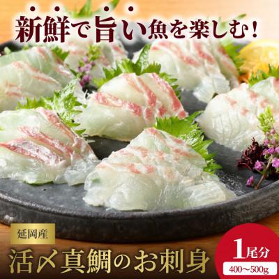 ふるさと納税 延岡市 延岡産活〆真鯛のお刺身400g〜500g
