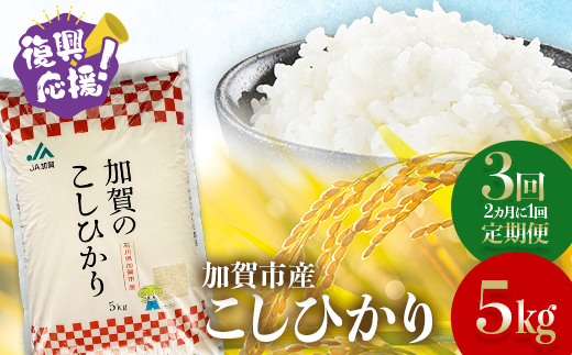 【定期便】【３回お届け（２カ月に１回）】 令和7年産 こしひかり 5kg 生活応援米 精米 銘柄米 お米 米 ギフト 贈り物 グルメ 食品 復興応援米  F6P-3222