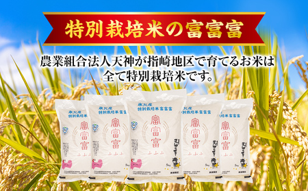 【特別栽培米】令和7年産 富山県産 "富富富" ５kg 無洗米 