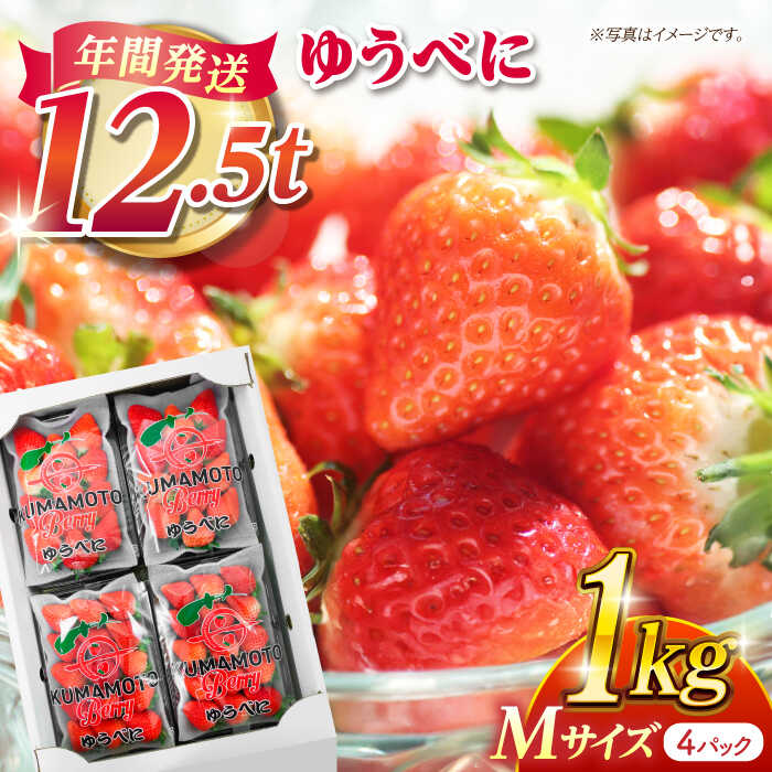 【ふるさと納税】いちご Mサイズ ゆうべに 1kg（4pc）【熊本ベリー】[ZER007] イチゴ 苺 ストロベリー ギフト 産地 新鮮 旬 評判 レビュー 完熟フレッシュ 国産 熊本県産 果物 くだもの フルーツ 人気 セット 季節 産地直送 地域 特産 ブランド おすすめ 期間限定 送料無料