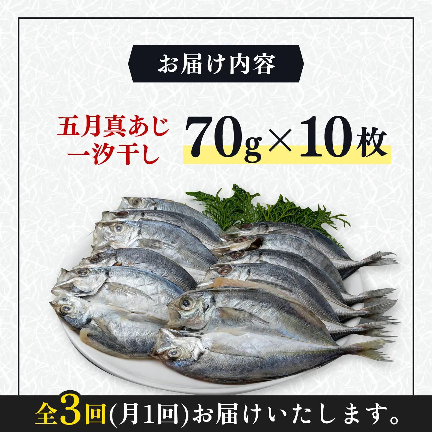 【全3回定期便】対馬 五月 真あじ 一汐干し 10枚 新鮮 アジ 干物 [WAI042]