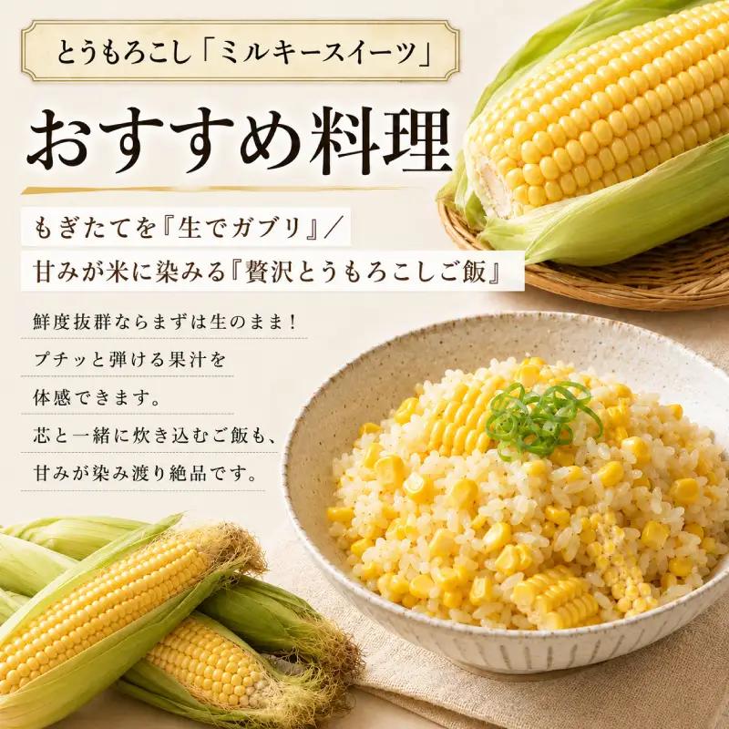 小笠原農園の有機とうもろこし「ミルキースイーツ」24本【北海道十勝幕別】《2026年8月出荷開始先行予約》【 スイートコーン コーン とうもろこし とうきび 黄色 野菜 夏 北海道 幕別町 】 