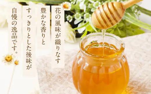 MINOKAMO HONEY はちみつ 1本（200g×1）