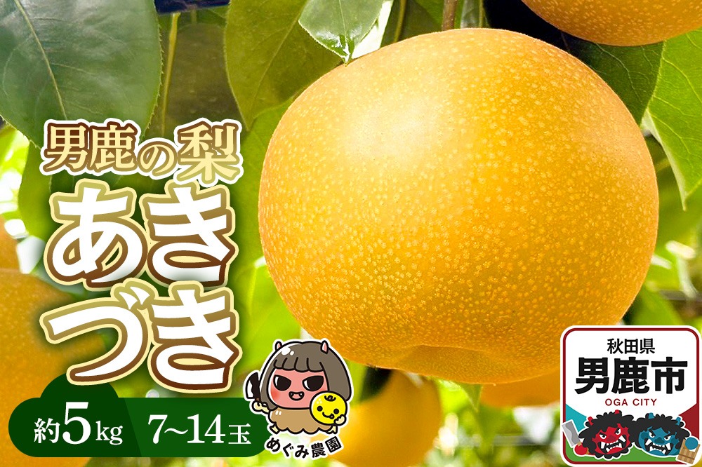 《先行受付》男鹿の梨 あきづき 約5kg 7～14玉 梨 秋田県 男鹿市 ＜めぐみ農園＞ 2026年10月上旬より発送|23_mgm-030501