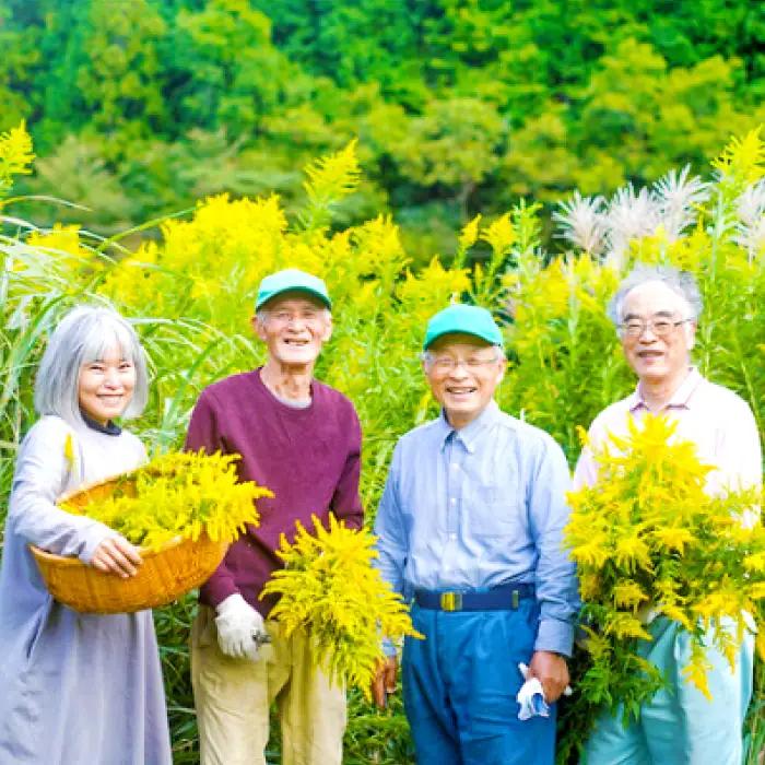 SANBE Botanicals〈セイタカアワダチソウ〉アロマ3点セット【アロマ ファブリックスプレー バスソルト 詰め合わせ セット 精油 プレゼント 母の日】