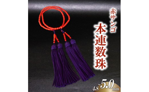 
                  赤サンゴ本連数珠 4.8~5.0mm アクセサリー ギフト 珊瑚 サンゴ 贈り物 数珠 プレゼント TP067 TP068
                