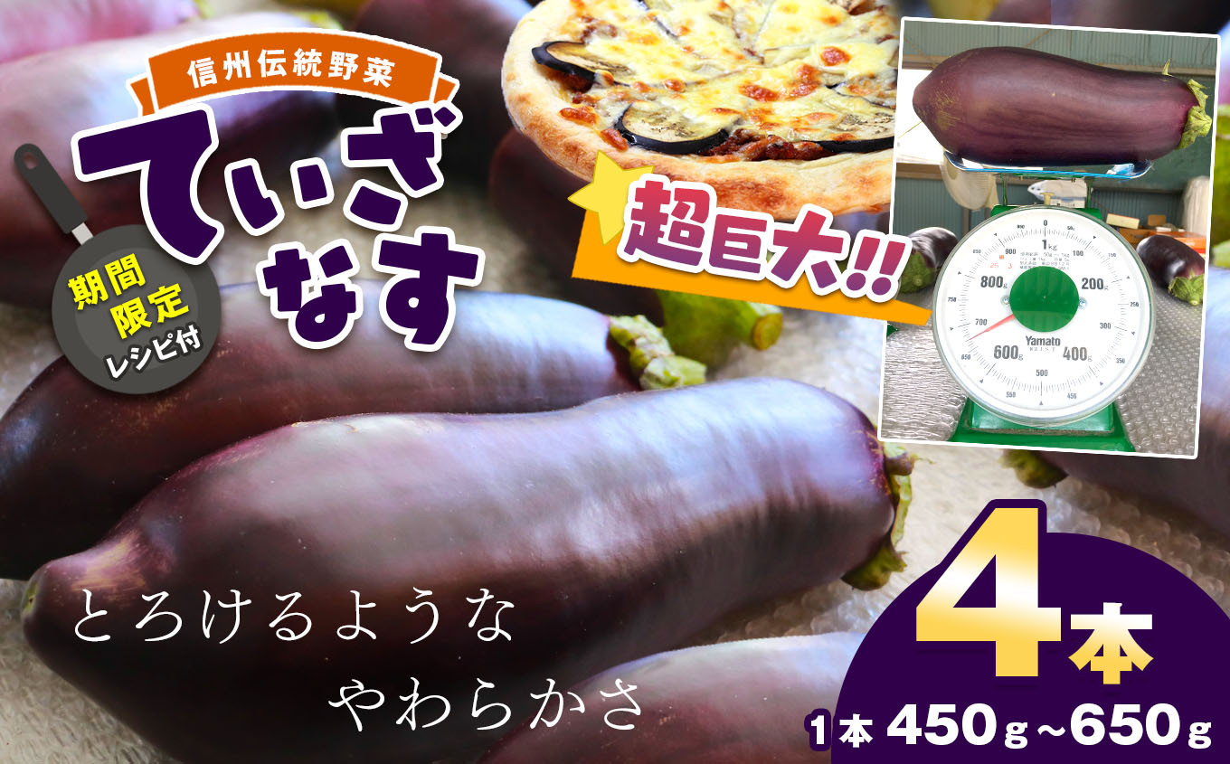 
【期間限定☆レシピ付】信州伝統野菜　天龍村産ていざなす4本セット（１本450g～650g）　[№5677-0019]
