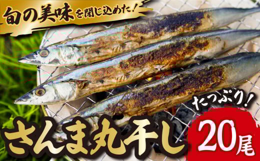 旬 の 美味しさ を閉じ込めた さんま 丸干し  ４匹入り×５袋セット 脂 ののった 旬の 秋刀魚 丸ごと 一夜干し 旬の 旨み 脂 を閉じ込めました サンマ 丸干し 海鮮 魚介 三重県 尾鷲  IW-8