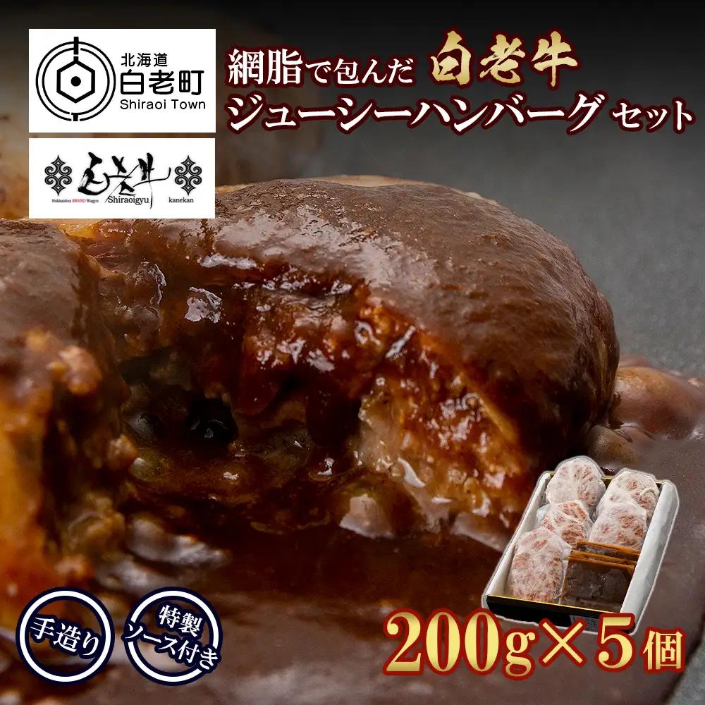 白老牛 ジューシー ハンバーグ セット 5個 BY080