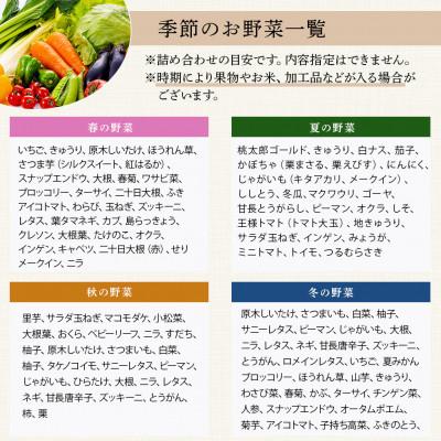 ふるさと納税 多良木町 【毎月定期便】野菜ソムリエ監修 旬のおすすめ野菜セット 4〜6種類(1〜2名様向け)全3回 |  | 03