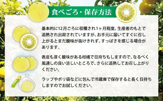 【先行予約】【訳あり】土佐文旦（ぶんたん）家庭用（M～5L）約3kg 〈2027年2月中旬～発送〉 文旦 3キロ 土佐文旦発祥の地 産地直送 約4～10玉 大玉 ぶんたん 訳あり【株式会社とさもん】 