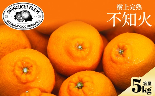【先行受付 2027年発送】不知火(デコ)5kg甘みと程よい酸味のバランスが絶妙【D70-30】【1470653】 YWTK030