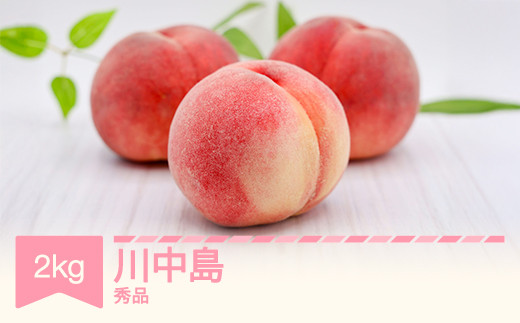 
            【先行予約】 もも 桃 川中島 約2kg 令和7年産 2025年産 果物 ※沖縄・離島への配送不可 si-moknx2
          