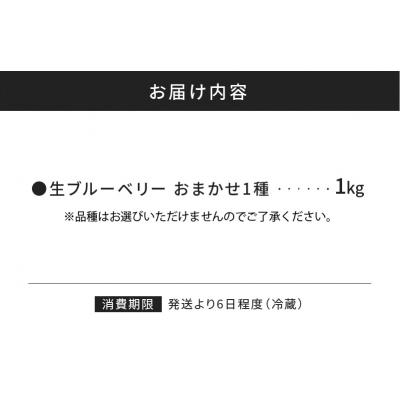 ふるさと納税 余市町 【7月中旬頃より発送】青果ブルーベリーおまかせ1種1kg(500g×2パック)_Y111-0010 |  | 03