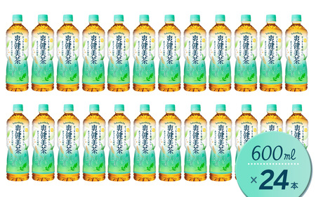 爽健美茶 600mlPET 24本入り  1ケース