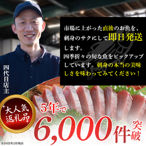 大将のおまかせ刺身3～4種類盛！ ／Efs-03 刺身 鮮魚 冷蔵  即日発送