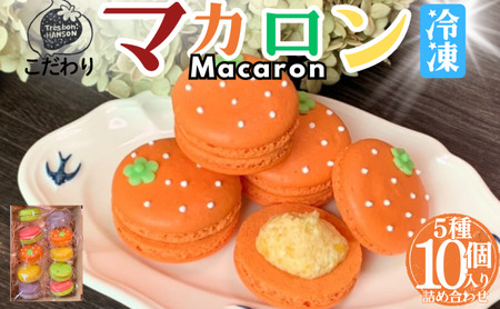 マカロン こだわり 焼菓子 南濃みかん ピスタチオ マカロン【10個入り】