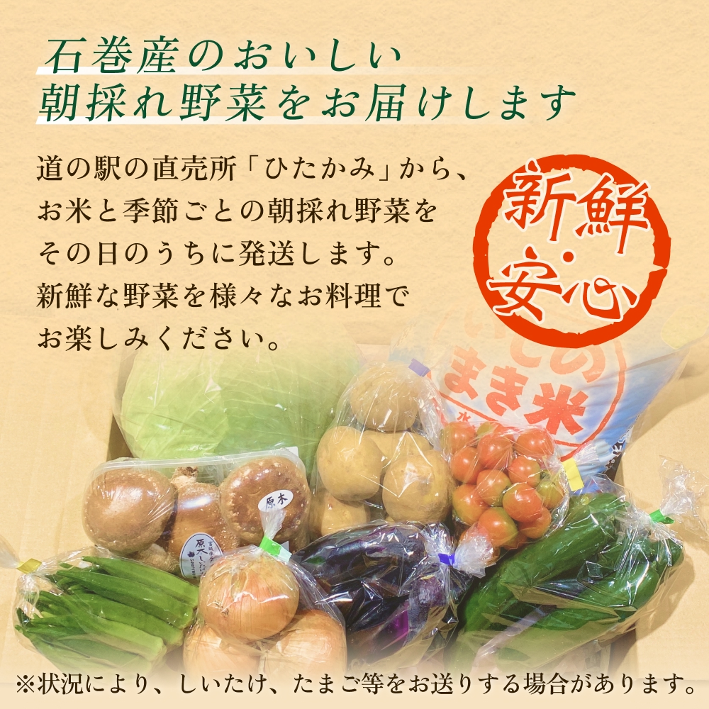 石巻産 お米と季節の野菜セット 朝採れ 旬の野菜 季節の野菜 お野菜 詰め合わせ 食材 新鮮